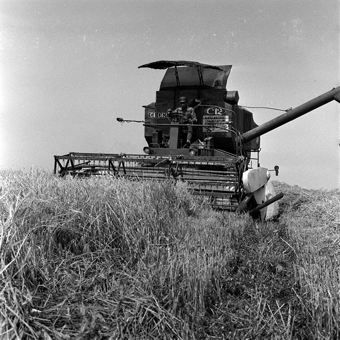 minerva_1970_Agrare_c1_c4r4_002