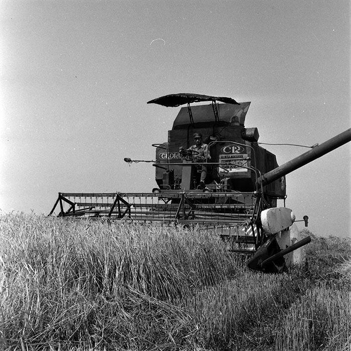 minerva_1970_Agrare_c1_c4r4_003