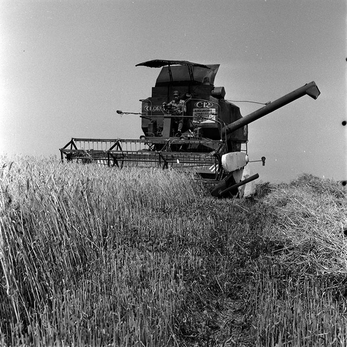 minerva_1970_Agrare_c1_c4r4_004