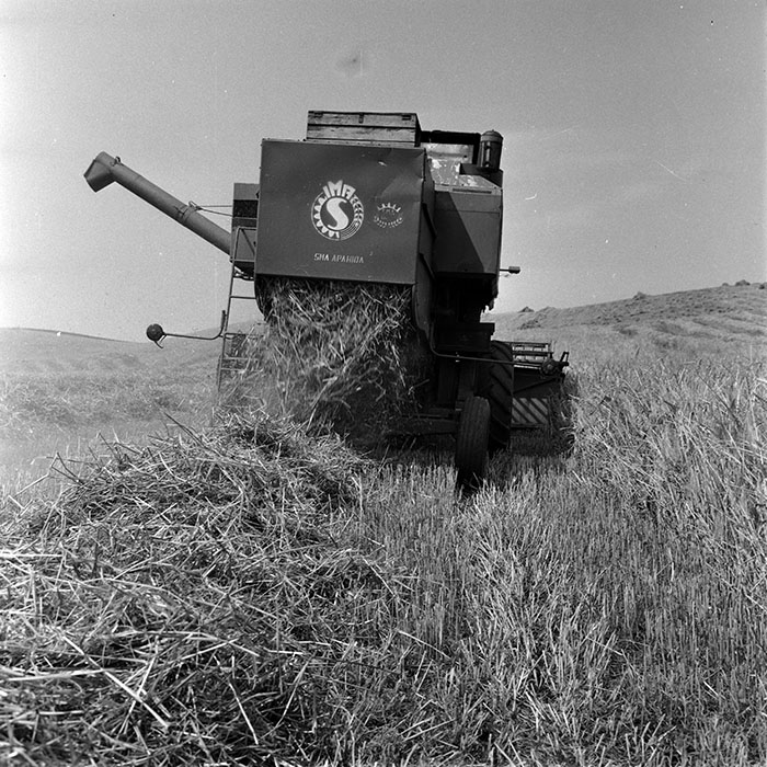 minerva_1970_Agrare_c1_c4r4_005