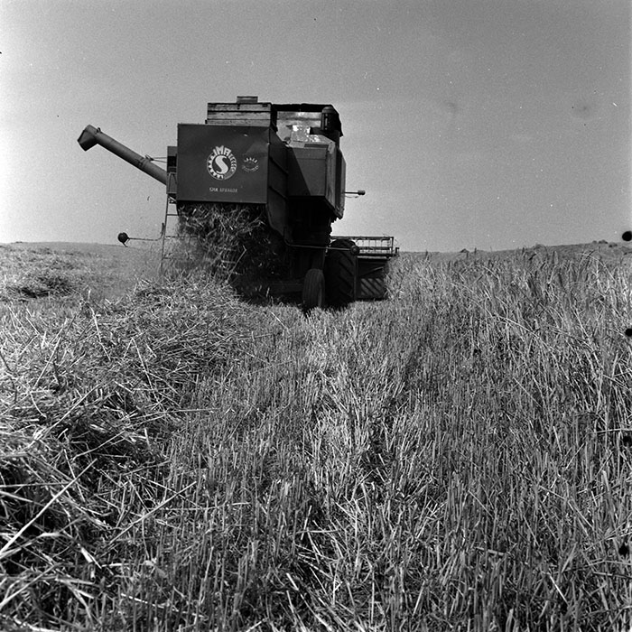 minerva_1970_Agrare_c1_c4r4_006