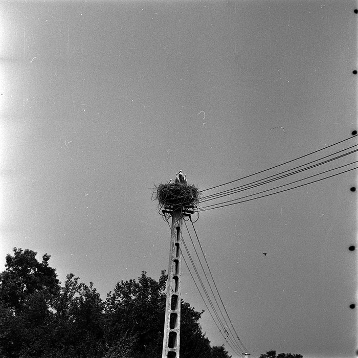 minerva_1970_Agrare_c1_c4r4_009