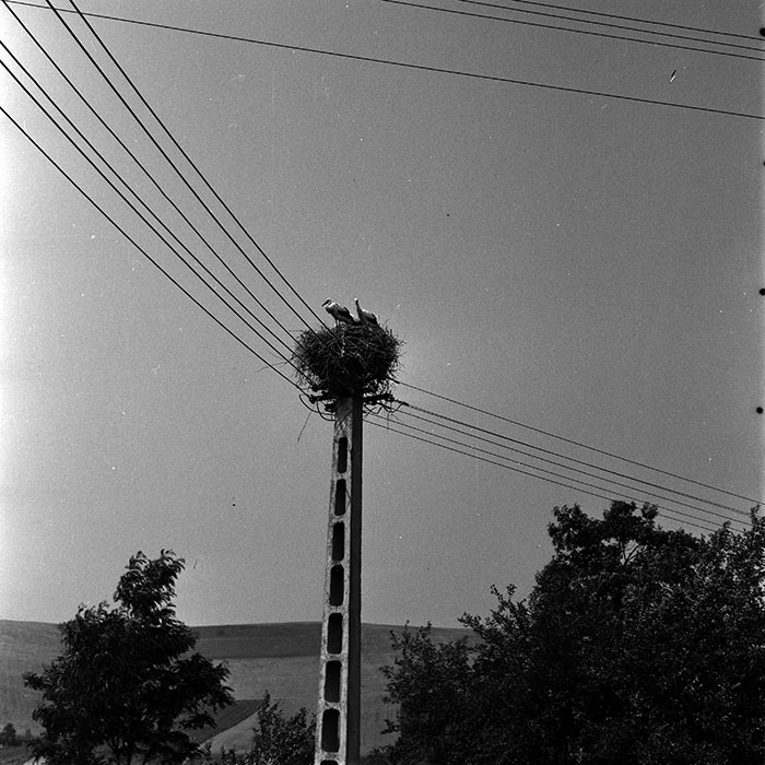 minerva_1970_Agrare_c1_c4r4_010