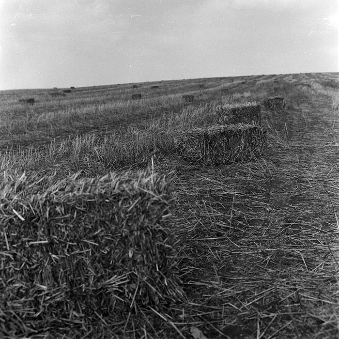 minerva_1970_Agrare_c1_c4r5_002