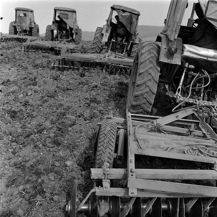 minerva_1970_Agrare_c1_c4r5_011