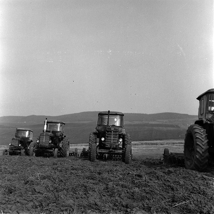 minerva_1970_Agrare_c1_c4r5_012