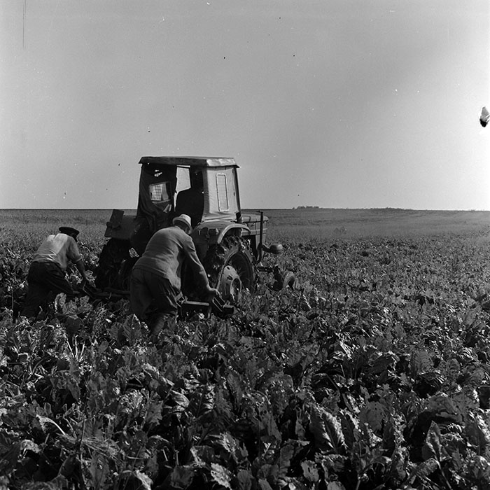 minerva_1970_Agrare_c1_c5r1_001