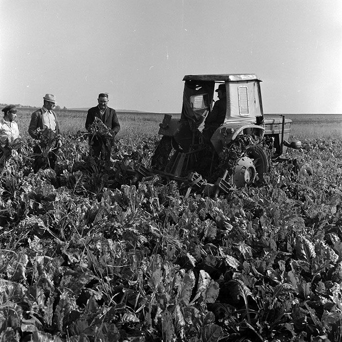 minerva_1970_Agrare_c1_c5r1_002