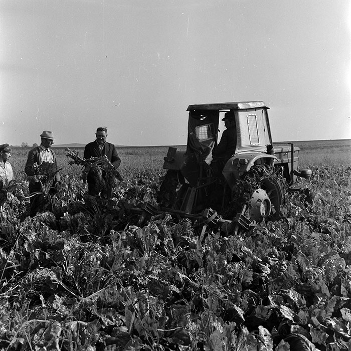 minerva_1970_Agrare_c1_c5r1_003