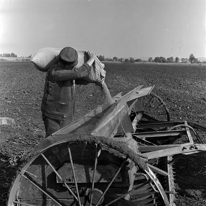 minerva_1970_Agrare_c1_c5r1_004