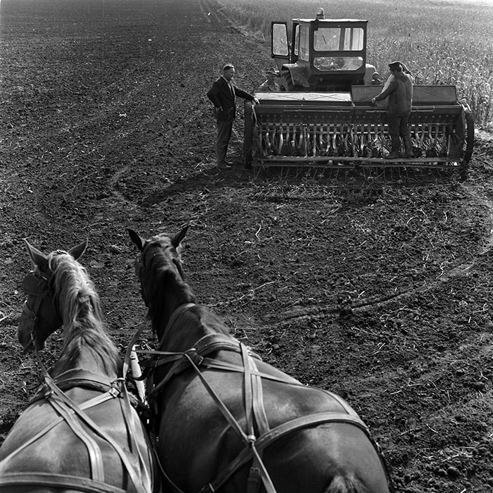 minerva_1970_Agrare_c1_c5r1_006