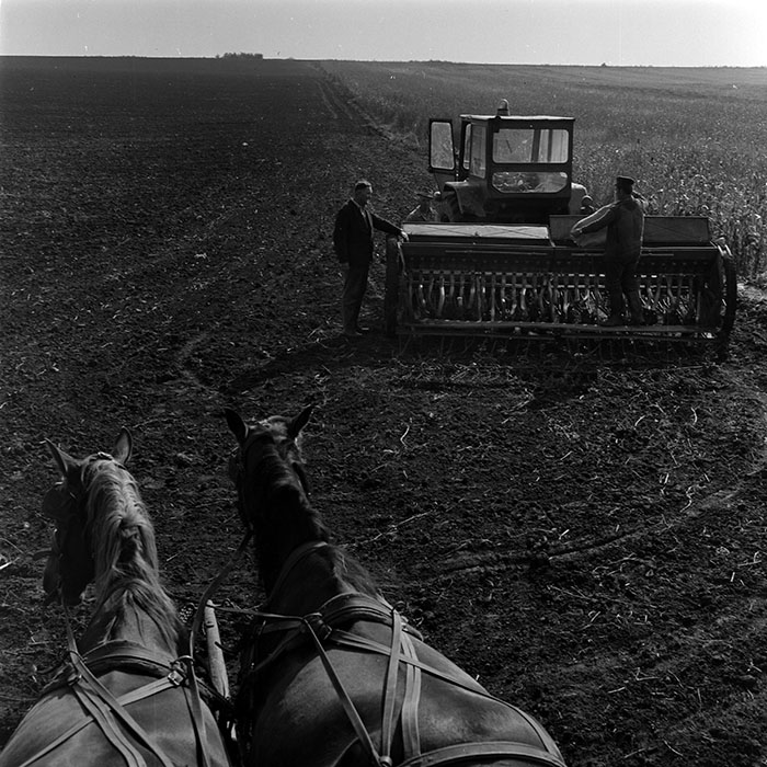 minerva_1970_Agrare_c1_c5r1_007