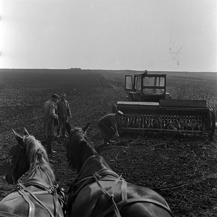 minerva_1970_Agrare_c1_c5r1_008