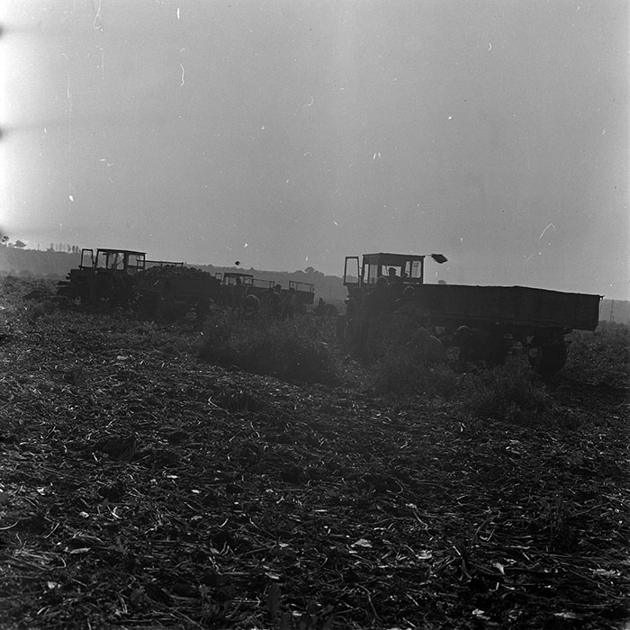 minerva_1970_Agrare_c1_c5r1_009