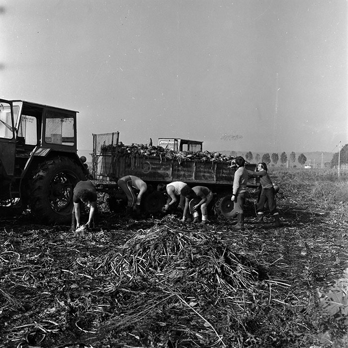 minerva_1970_Agrare_c1_c5r1_011