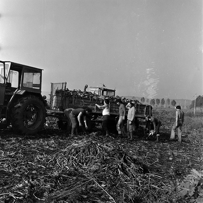 minerva_1970_Agrare_c1_c5r1_012