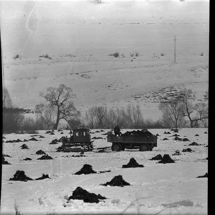 minerva_1970_Agrare_c1_c5r1_013