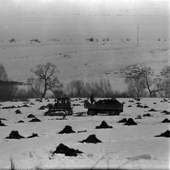 minerva_1970_Agrare_c1_c5r1_014