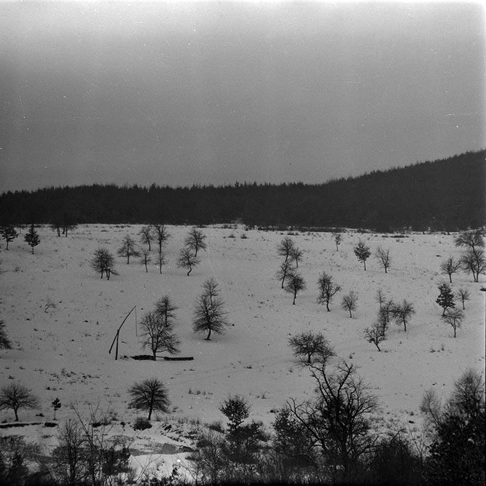 minerva_1970_Agrare_c1_c5r1_016