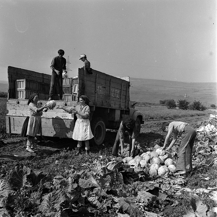 minerva_1970_Agrare_c1_c5r2_006