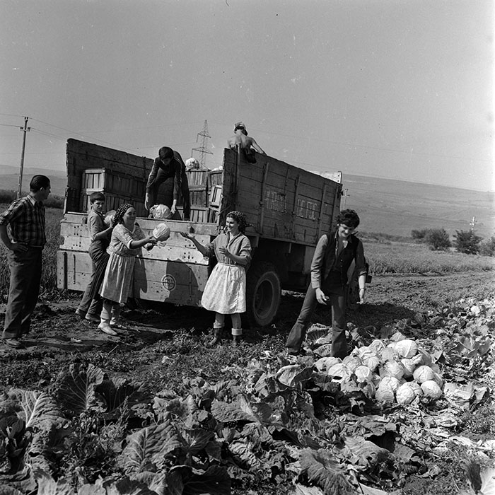 minerva_1970_Agrare_c1_c5r2_007