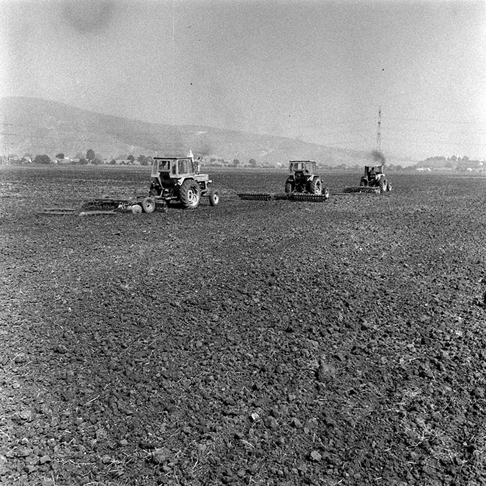 minerva_1970_Agrare_c1_c5r3_002