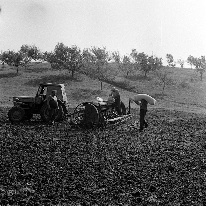 minerva_1970_Agrare_c1_c5r3_006