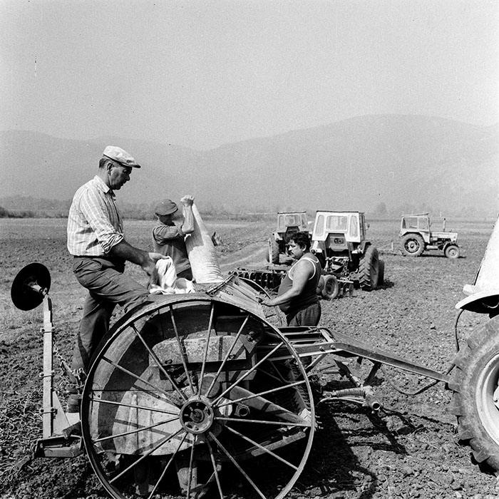 minerva_1970_Agrare_c1_c5r3_007