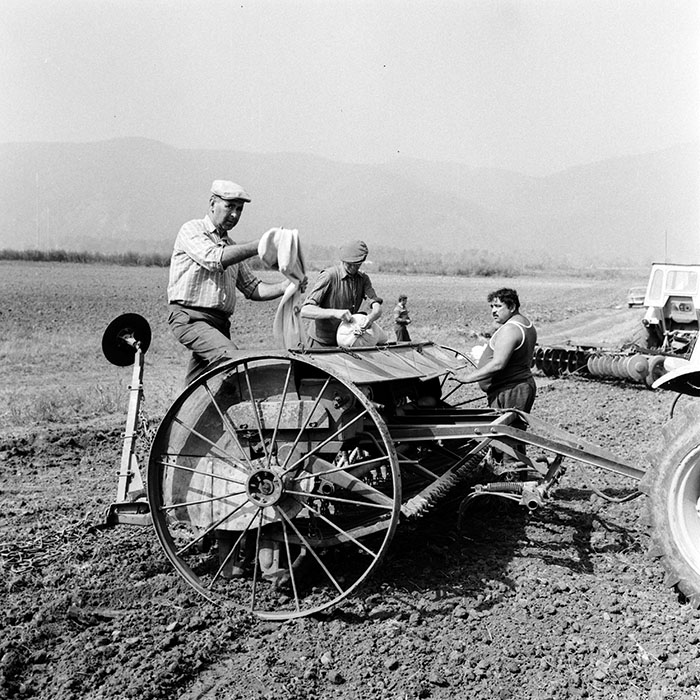 minerva_1970_Agrare_c1_c5r3_008