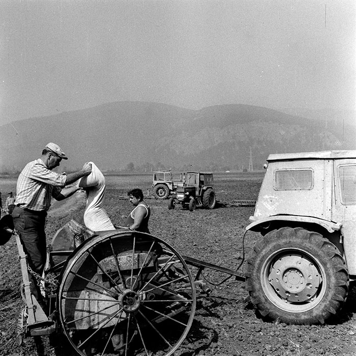 minerva_1970_Agrare_c1_c5r3_009