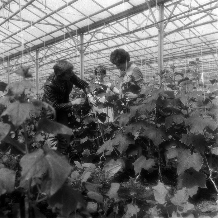 minerva_1970_Agrare_c1_c5r4_002