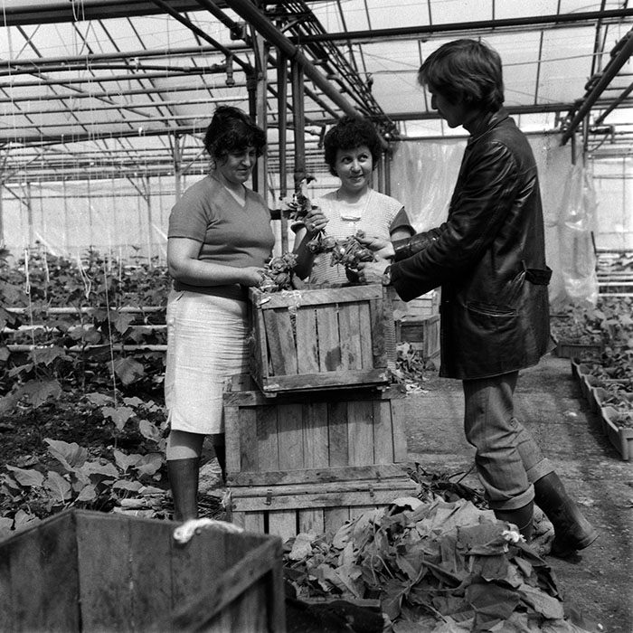 minerva_1970_Agrare_c1_c5r4_005