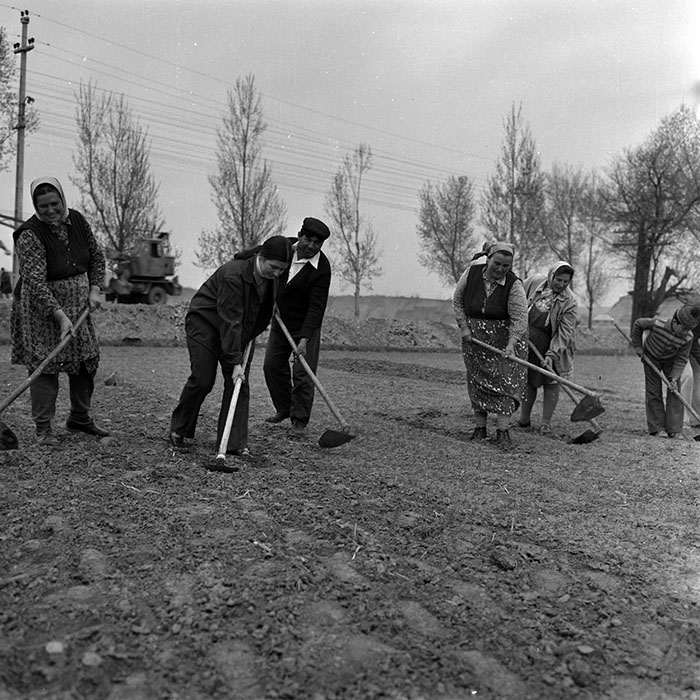 minerva_1970_Agrare_c1_c5r5_002