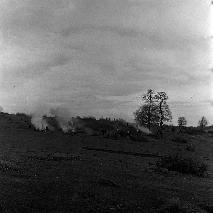 minerva_1970_Agrare_c1_c6r1_005