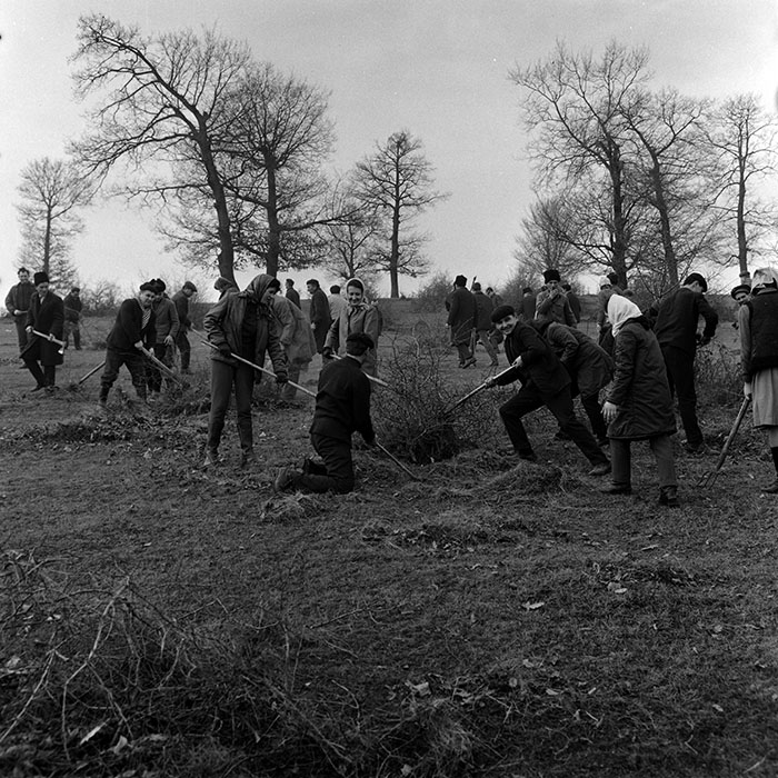 minerva_1970_Agrare_c1_c6r1_007