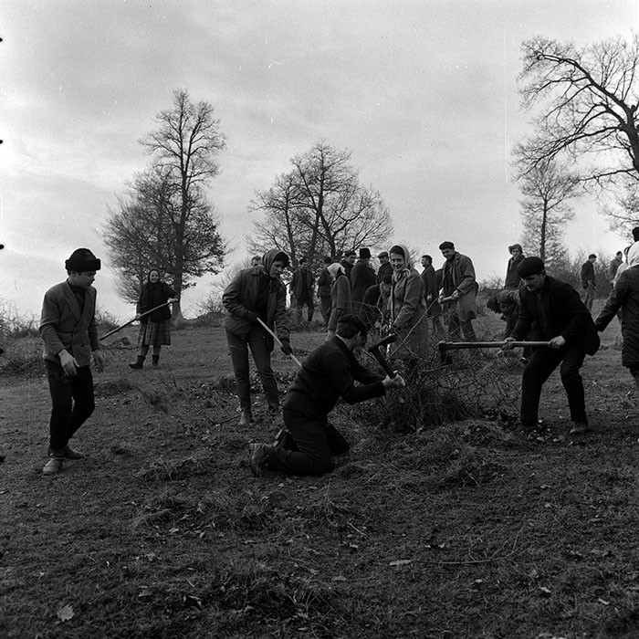 minerva_1970_Agrare_c1_c6r1_008