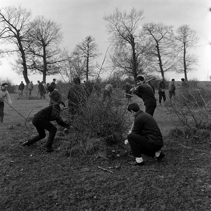 minerva_1970_Agrare_c1_c6r1_009