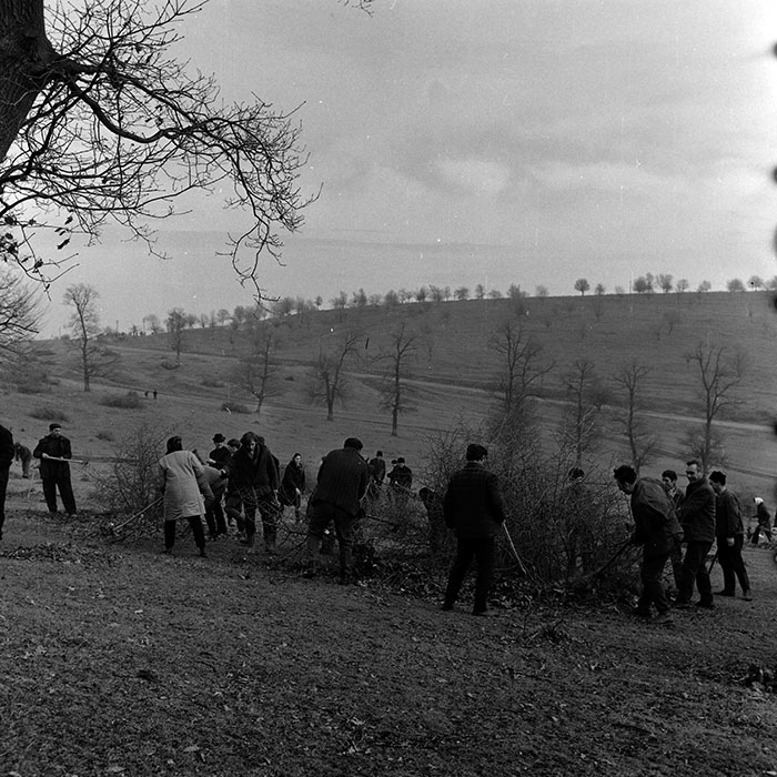 minerva_1970_Agrare_c1_c6r1_010