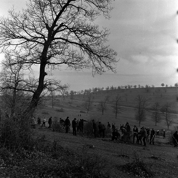 minerva_1970_Agrare_c1_c6r1_011