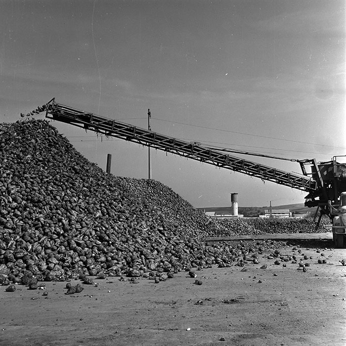 minerva_1970_Agrare_c1_c6r2_004