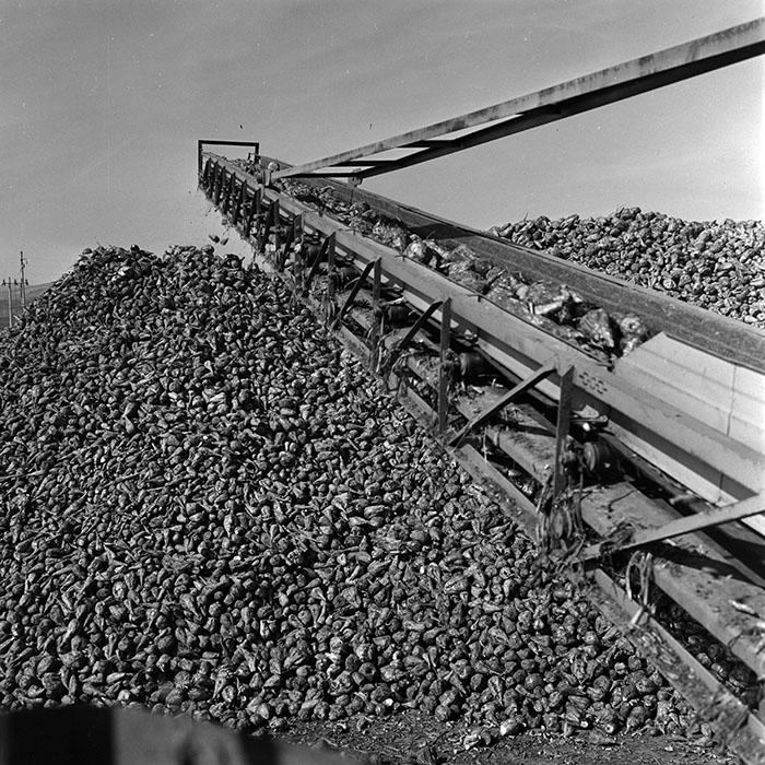 minerva_1970_Agrare_c1_c6r2_005