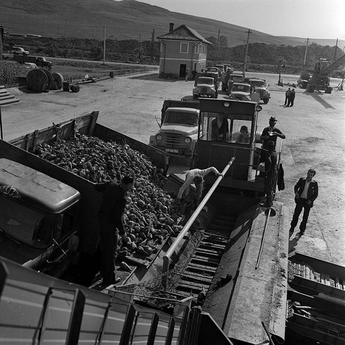 minerva_1970_Agrare_c1_c6r2_008