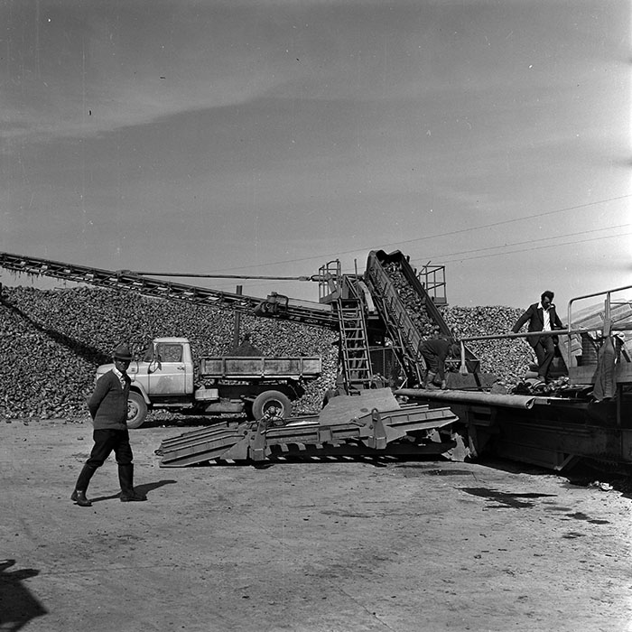 minerva_1970_Agrare_c1_c6r2_009