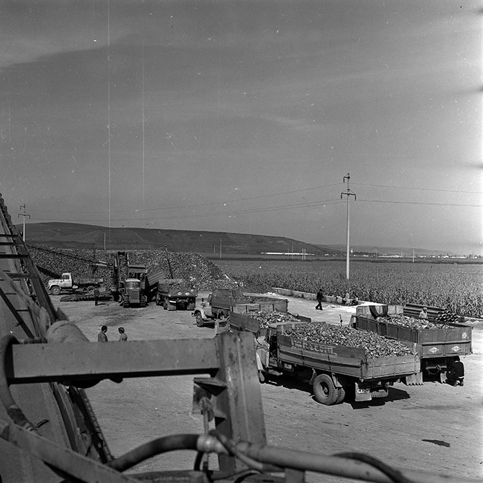 minerva_1970_Agrare_c1_c6r2_011