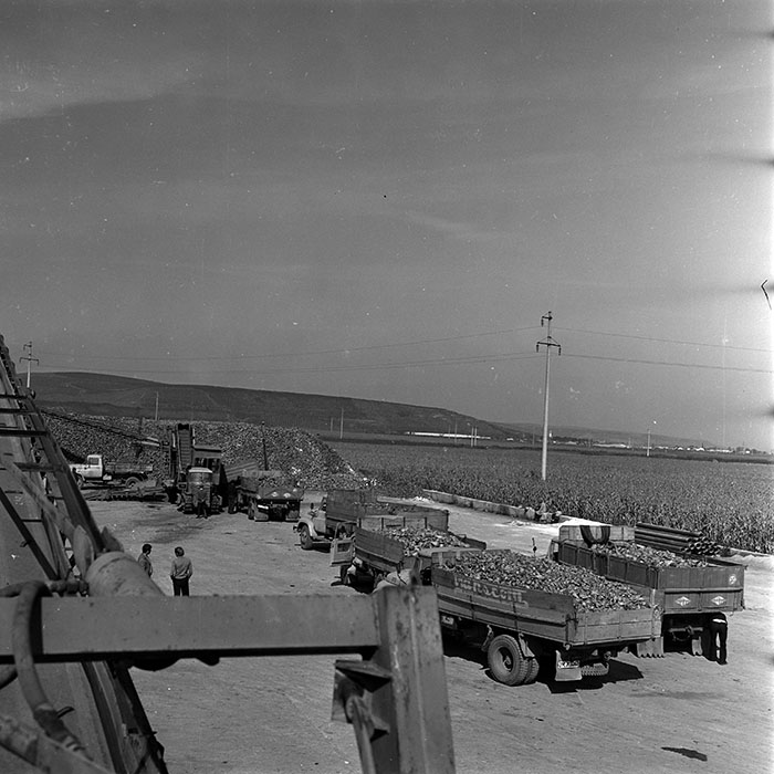 minerva_1970_Agrare_c1_c6r2_012