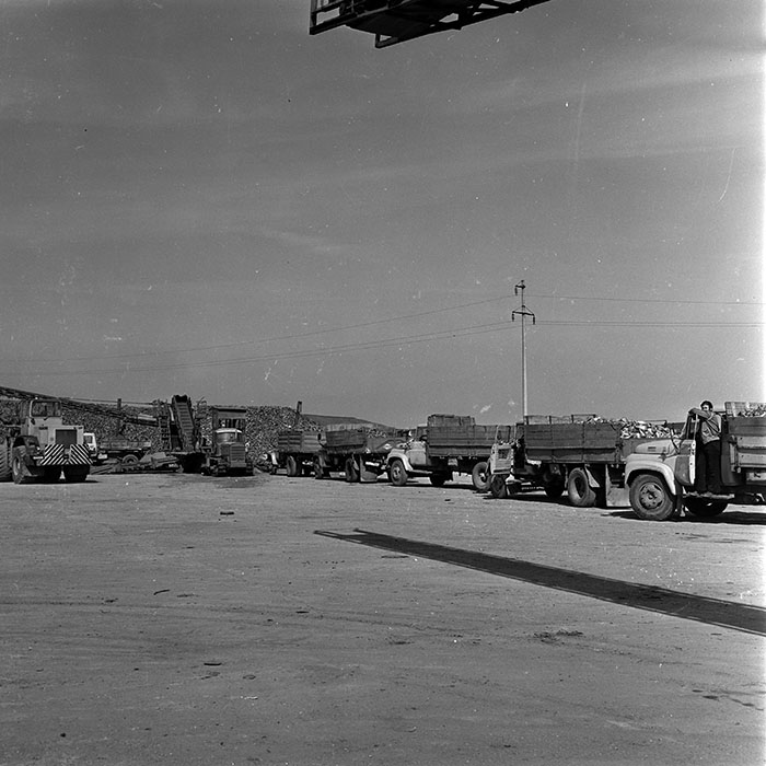 minerva_1970_Agrare_c1_c6r2_013