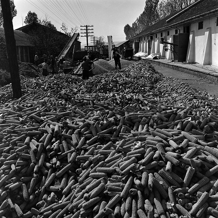 minerva_1970_Agrare_c1_c6r3_002