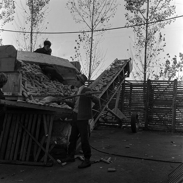 minerva_1970_Agrare_c1_c6r3_007