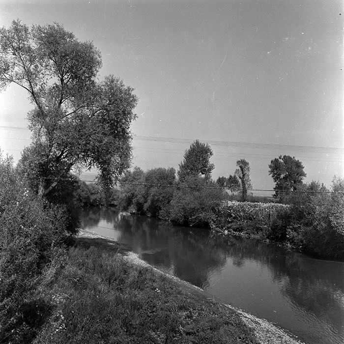 minerva_1970_Agrare_c1_c6r3_011