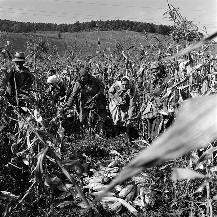 minerva_1970_Agrare_c1_c6r4_005